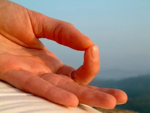 Chin Mudra hand position