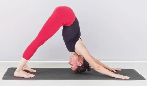 Downward Facing Dog Pose
