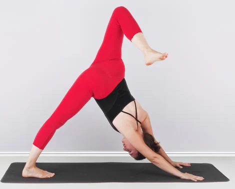 Raised Leg Downward Facing Dog Pose, Eka Pada Adho Mukha Svanasana - step 3 eka-pada-adho-mukha-svanasana-3
