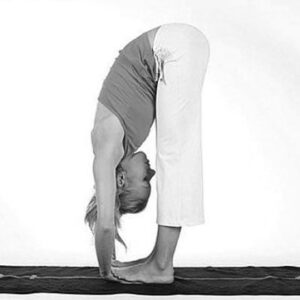 Forearm Releasing Forward Fold, Padahastasana