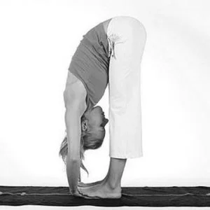 Forearm Releasing Forward Fold, Padahastasana