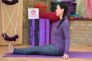 Seated-Staff-Posture