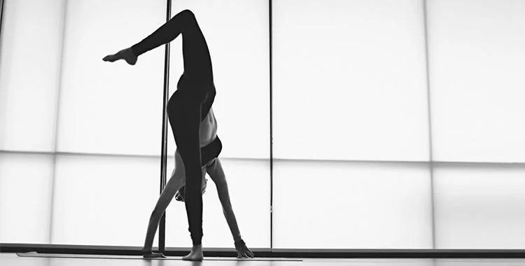 Eka Pada Adho Mukha Svanasana, Raised Leg Downward Facing Dog Pose Feature