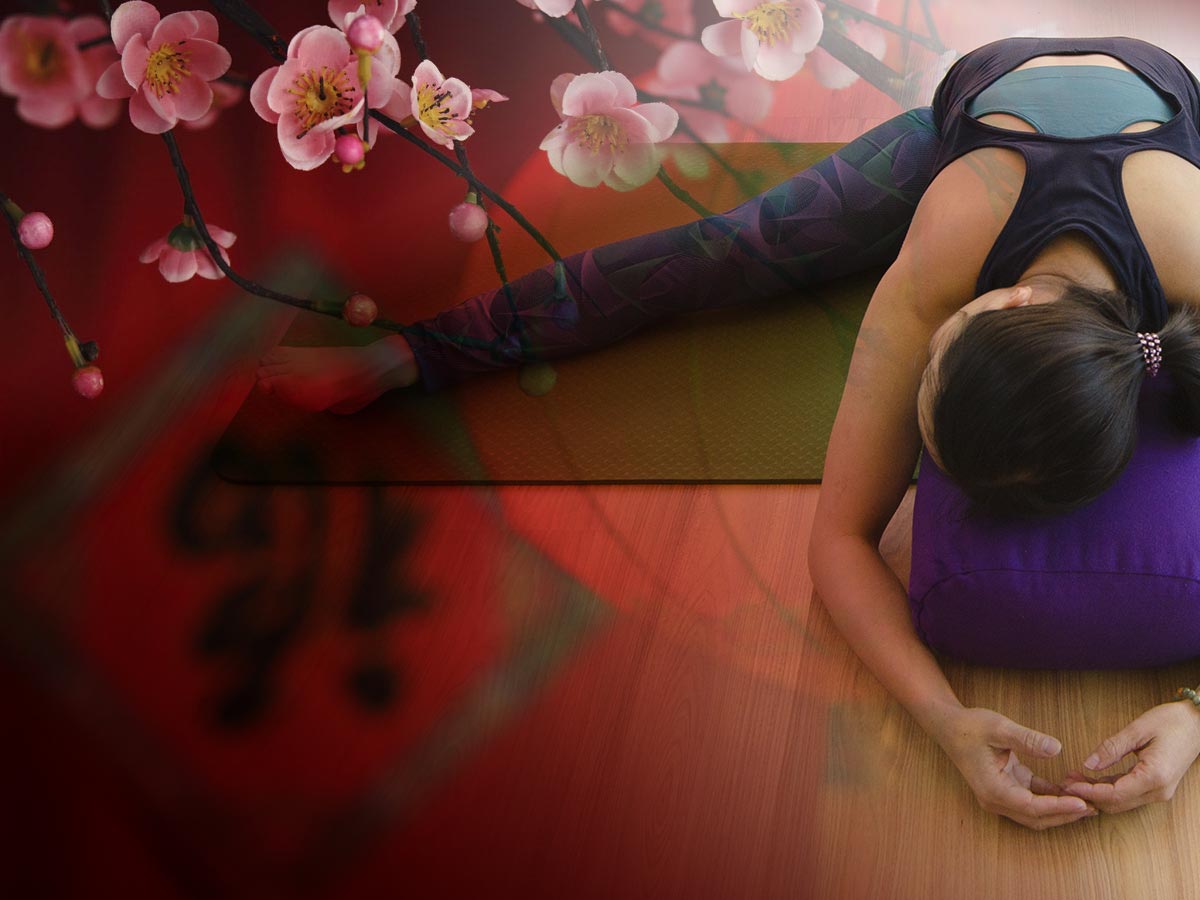 An evening of Yin yoga to Restorative yoga, Yoga Nidra and Guzheng Music