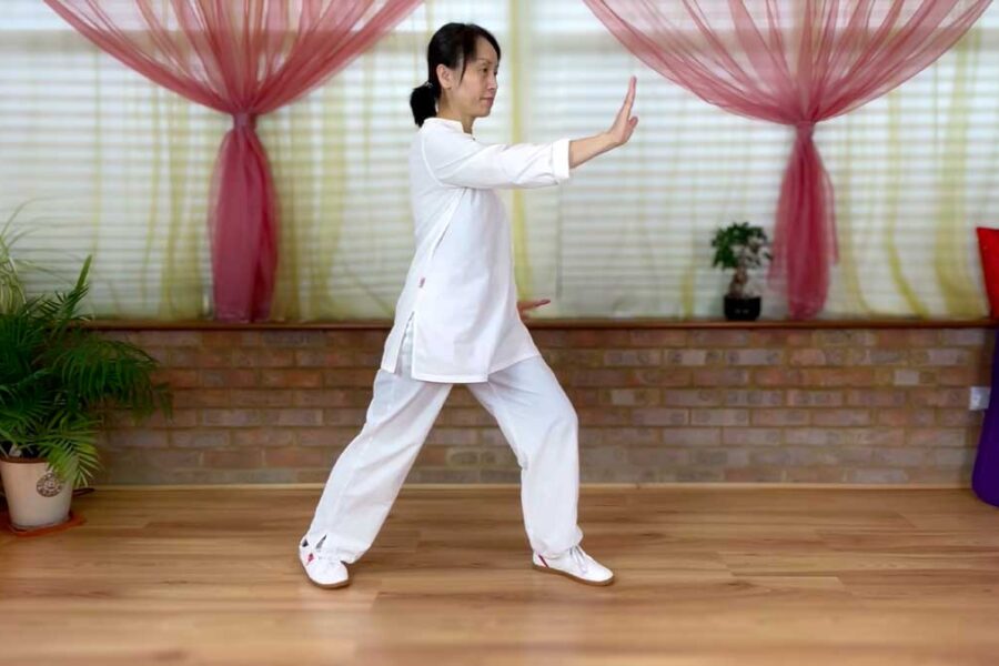 8 Form Tai Chi practice. Yang Style | Follow Me Mirror Version | 八式太极拳
