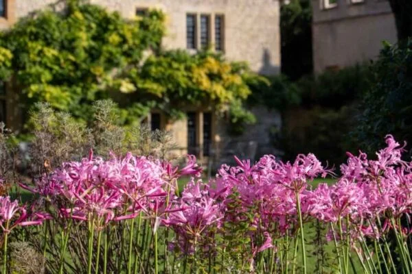 Smaller_Tranquillity-and-Insight-Retreat-in-Oxfordshire-50-768x512