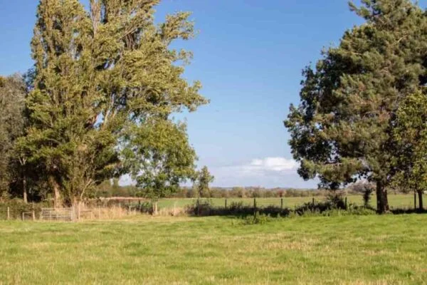 Smaller_Tranquillity-and-Insight-Retreat-in-Oxfordshire-53-768x512