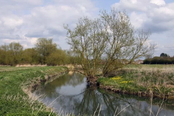 The_River_Ock