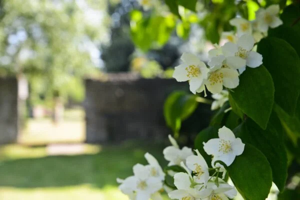 gardens-2 gardens-2