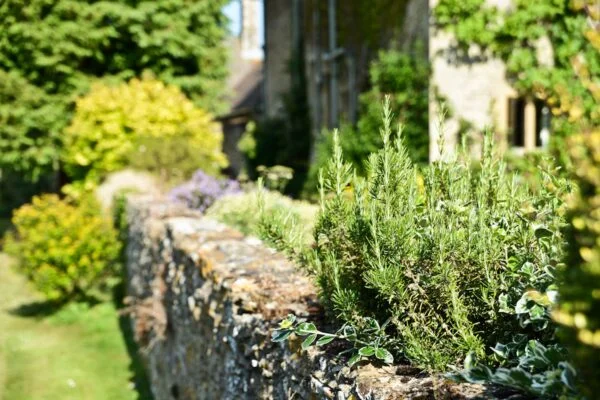 gardens-3