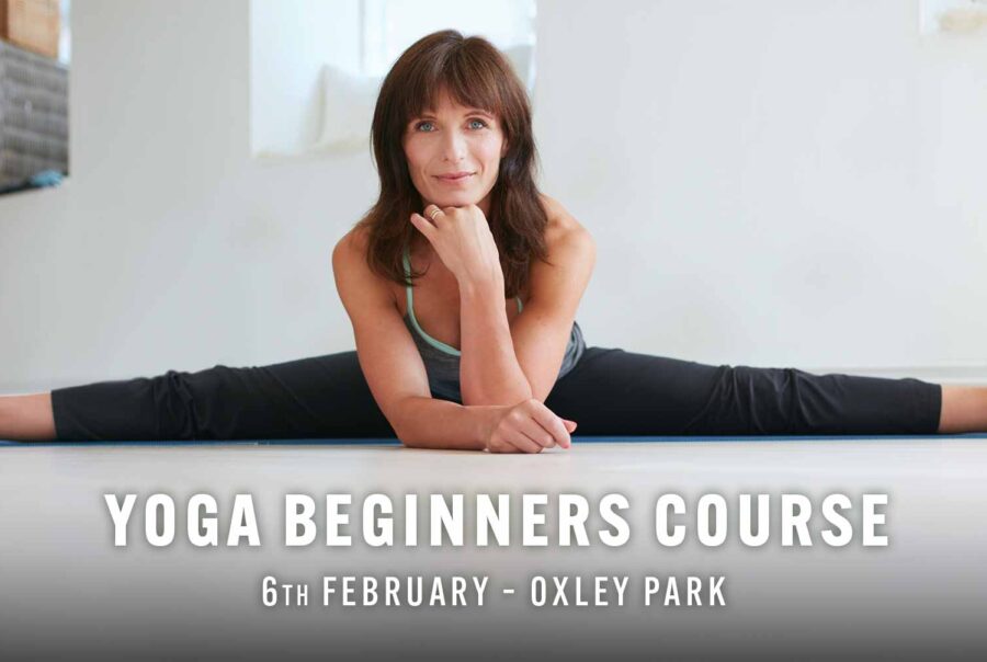 Yoga Beginners Course
