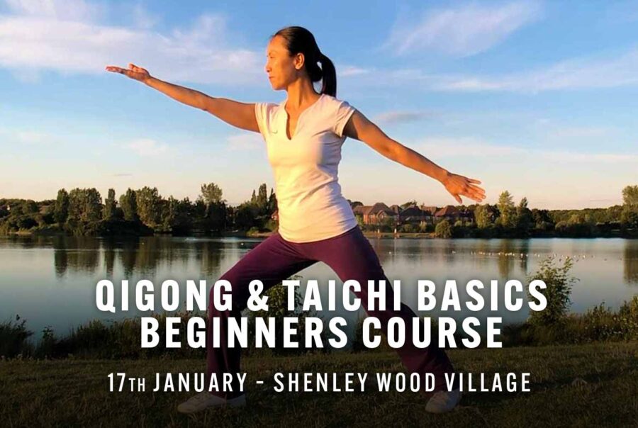 Health Qigong & Tai Chi Basics Beginners Course